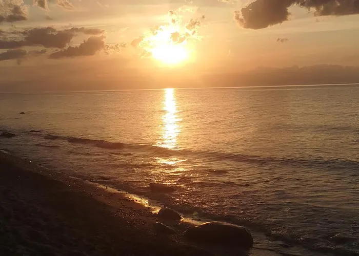 Lodge Letniskowe Wrzoski *